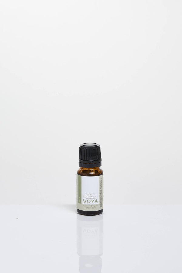 voya spearmint and rosemary essential oil blend for diffusers